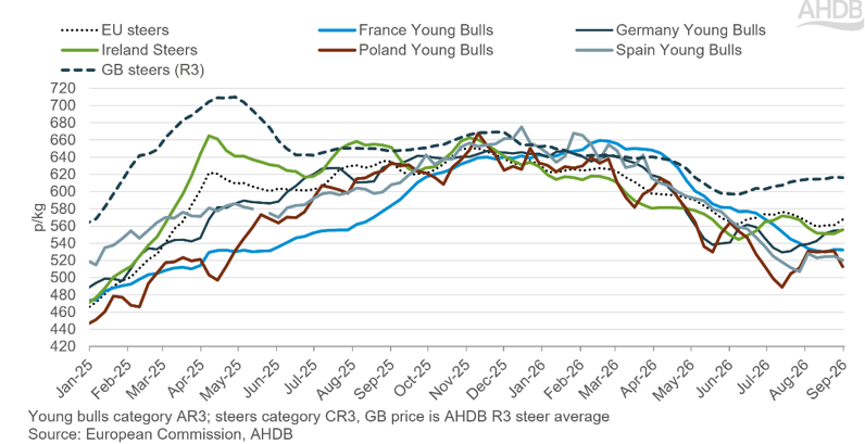 a line chart showing selected EU deadweight prime cattle prices (pence per kilogram) from January 20